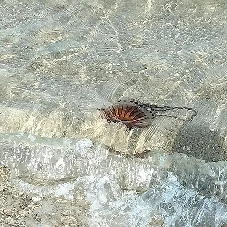 Sogno Al Mare Pedaso